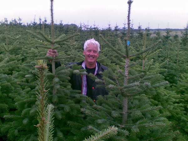 Kerstbomen