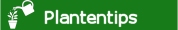 Plantverzorging